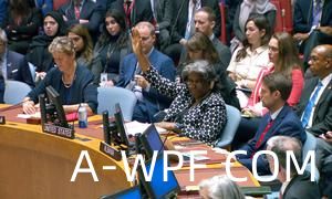 巴西提出的呼吁“人道主义暂停”的决议草案在安理会遭到美国否决。
