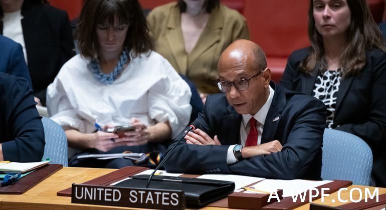美国常驻联合国副代表伍德在安理会发言。