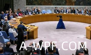 安理会通过决议呼吁紧急实施长时间人道主义暂停及走廊。