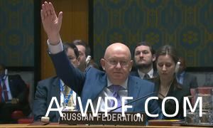 俄罗斯常驻联合国代表涅边贾行使否决权。