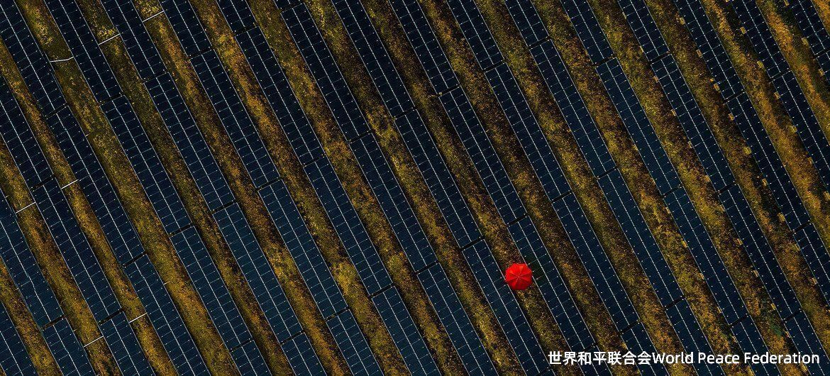 打着红色太阳伞的人走过法国一个太阳能发电厂。